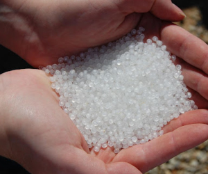 Hạt Nhựa Trắng